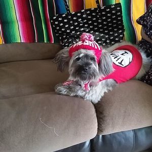 Meet your Posher, Mel